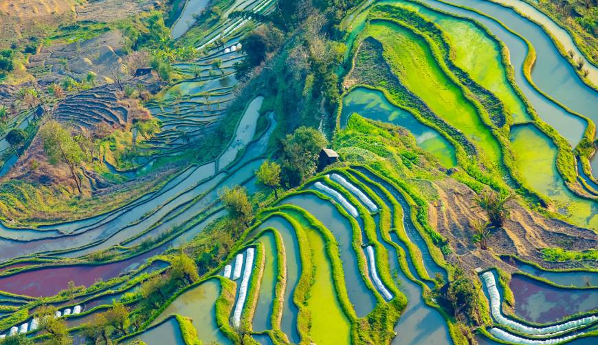走进墨江TVC拍摄：解锁本地化场景与创意镜头的完美融合
